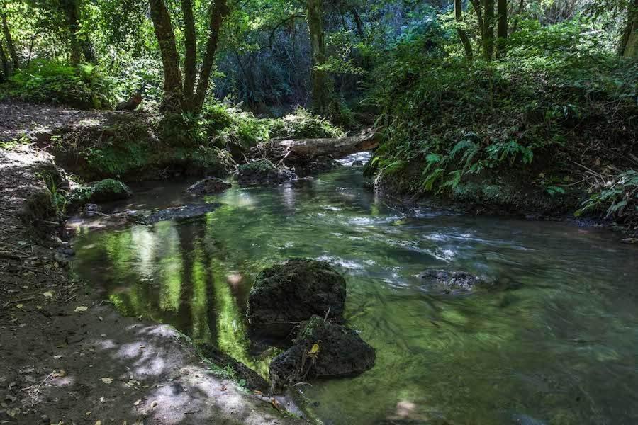 Agriturismo Villa Amerina Corchiano Zewnętrze zdjęcie